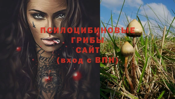mdpv Богданович