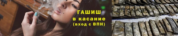 сатива Сясьстрой