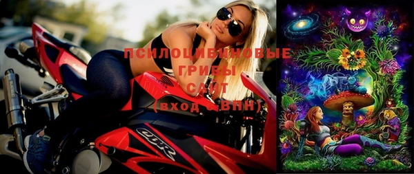 ALPHA PVP Богородицк