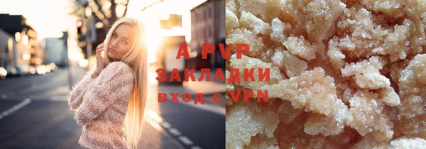 mdpv Богданович
