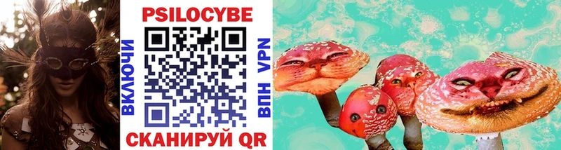Псилоцибиновые грибы прущие грибы  Верхний Тагил 